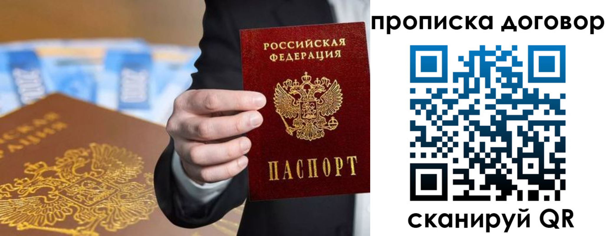 прописка гарантия в Камышине